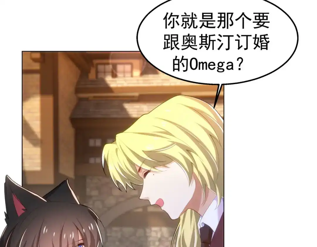 狼元帅的双重宠爱 第31话喜帖 第66页