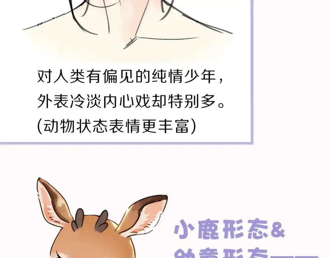 小鹿乱撞 人设预热 第12页