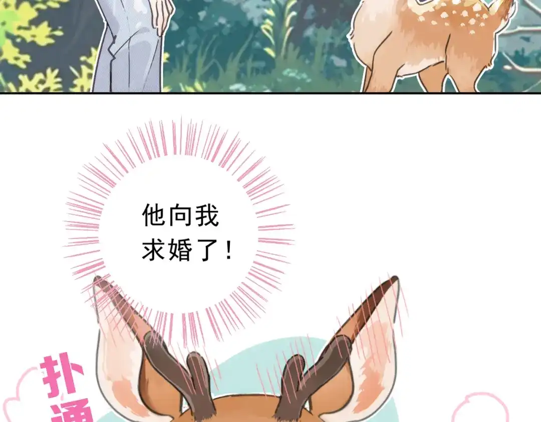 小鹿乱撞 第2话 请带小鹿回家！ 第11页
