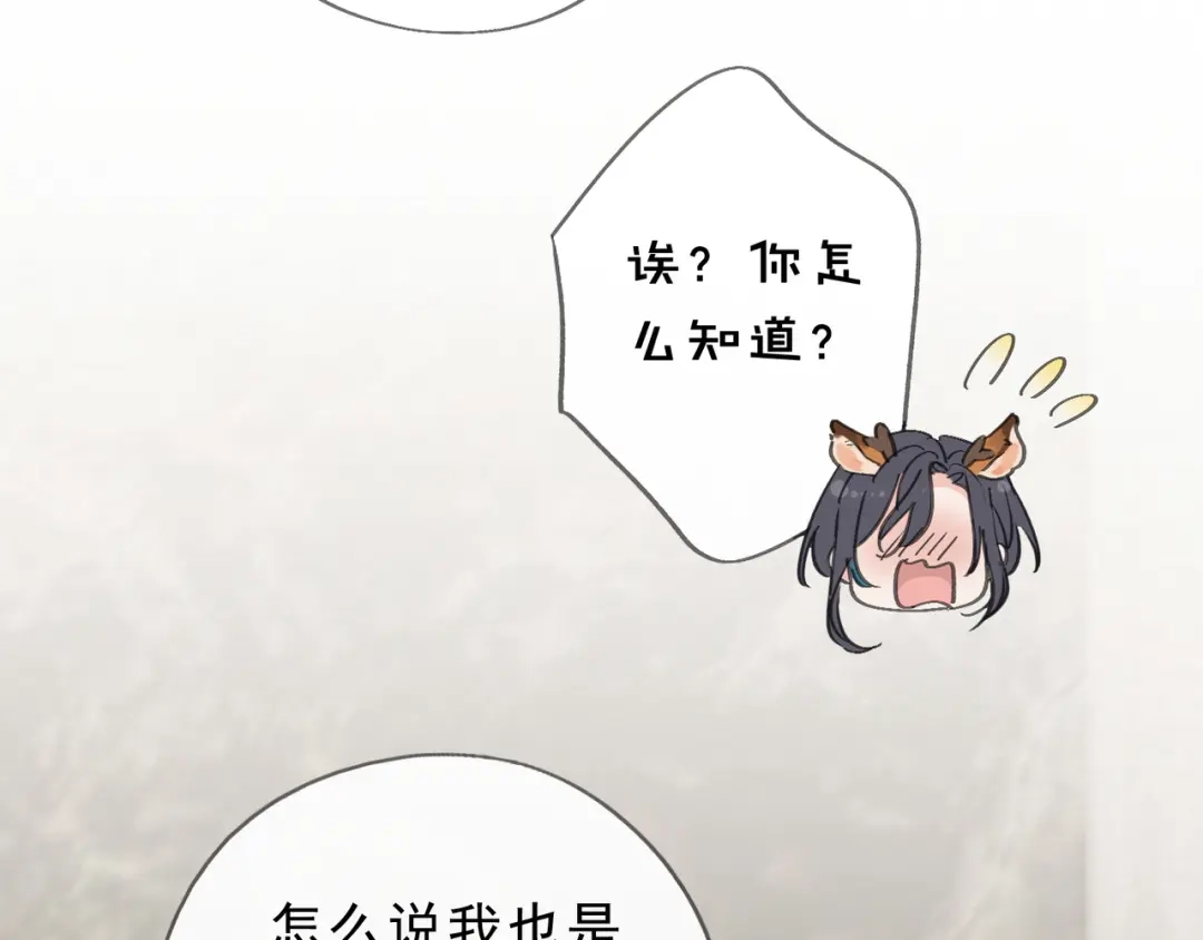 小鹿乱撞 第2话 请带小鹿回家！ 第95页