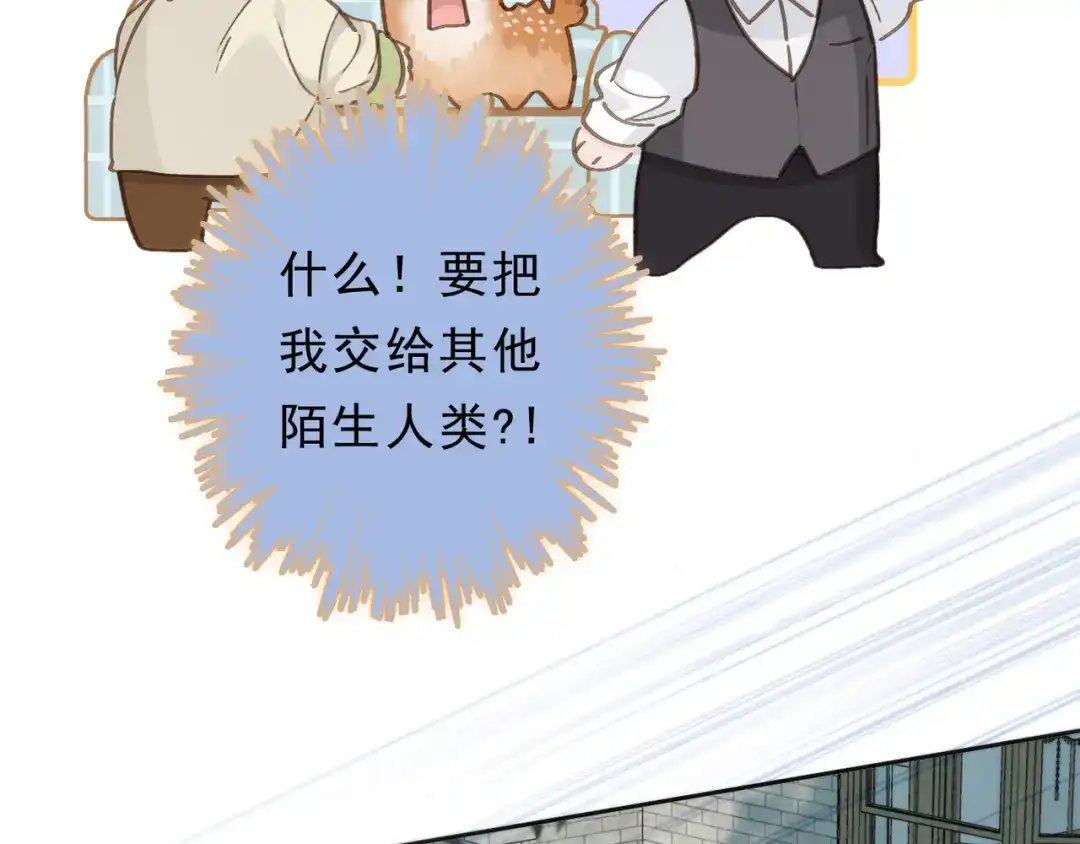 小鹿乱撞 第4话 心机小鹿上线！ 第43页