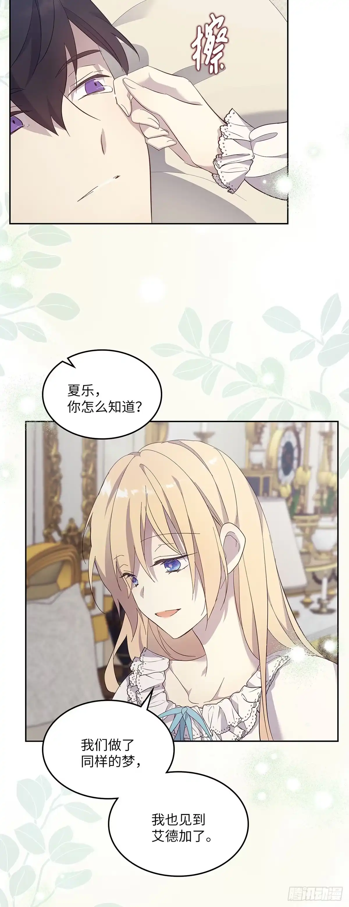 三岁小鬼带我逆袭成公爵夫人 第70话 完美的结局 第33页