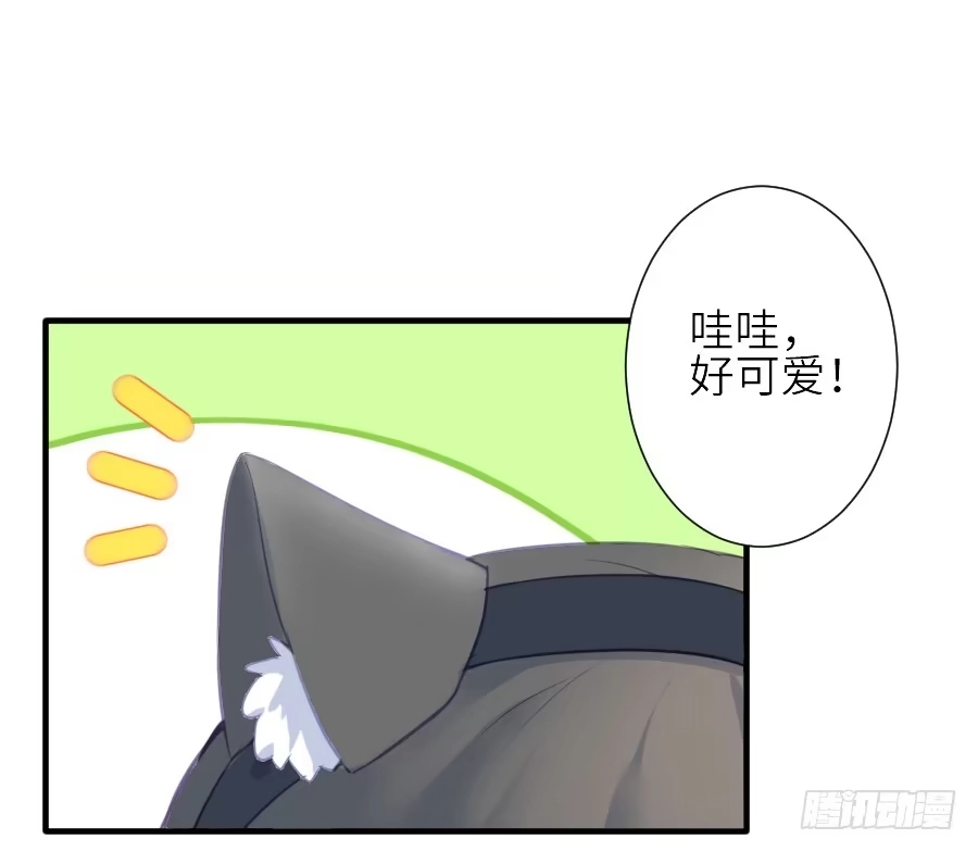王的初拥 相杀不相爱 第46页