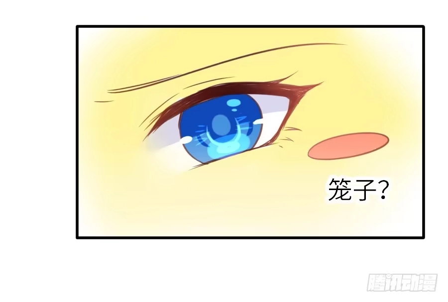 王的初拥 为什么没被男主捡走！？ 第65页