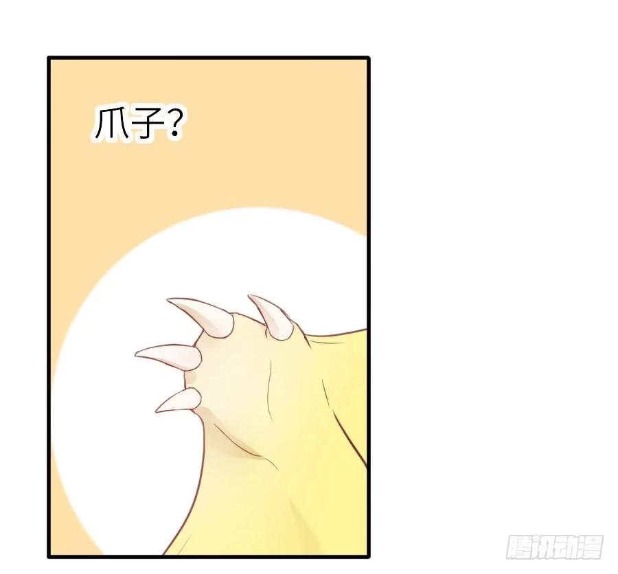 王的初拥 为什么没被男主捡走！？ 第66页