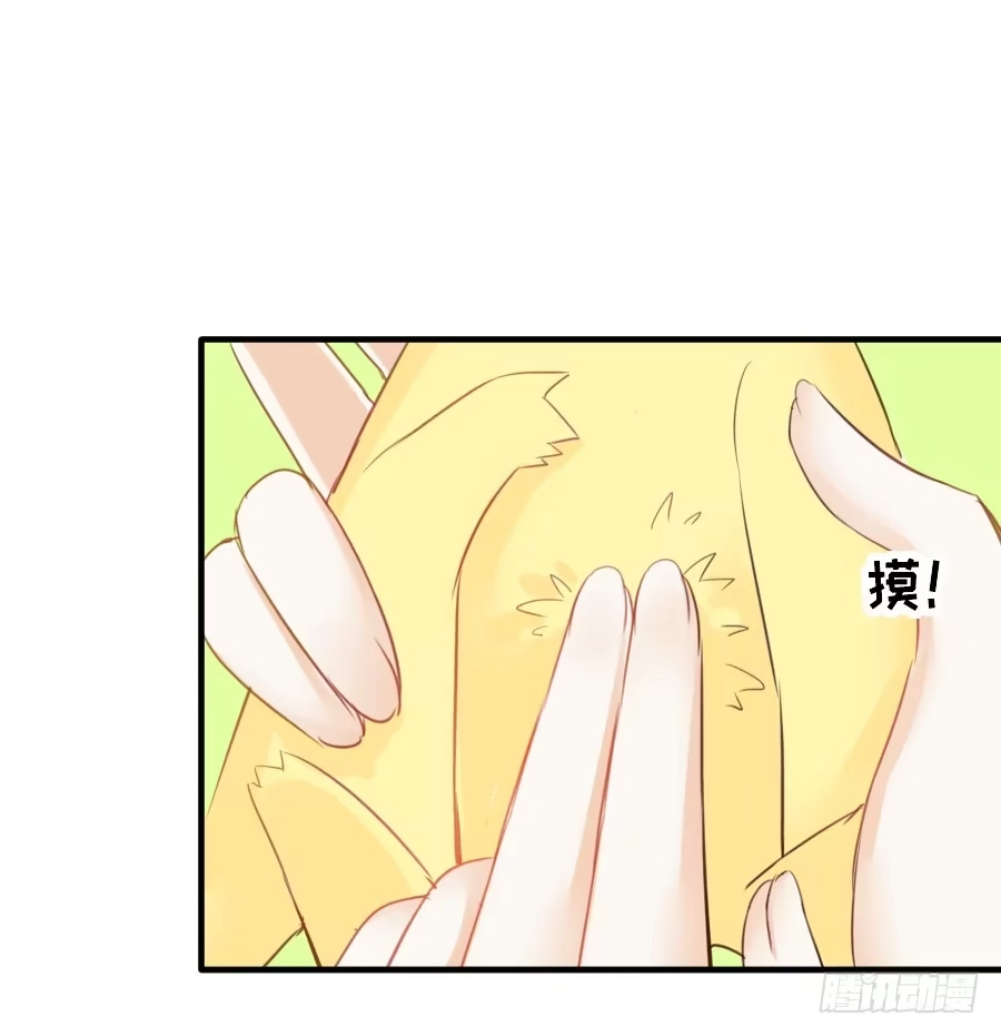 王的初拥 全果变身真是太糟心！ 第14页