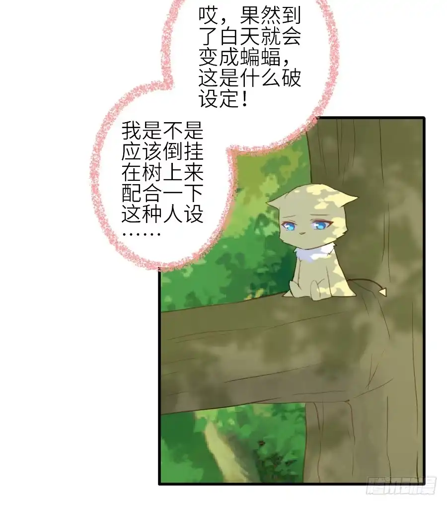 王的初拥 男主就应该有不输于女主的桃花 第14页