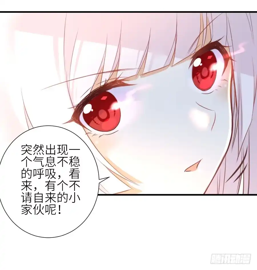 王的初拥 男主就应该有不输于女主的桃花 第31页
