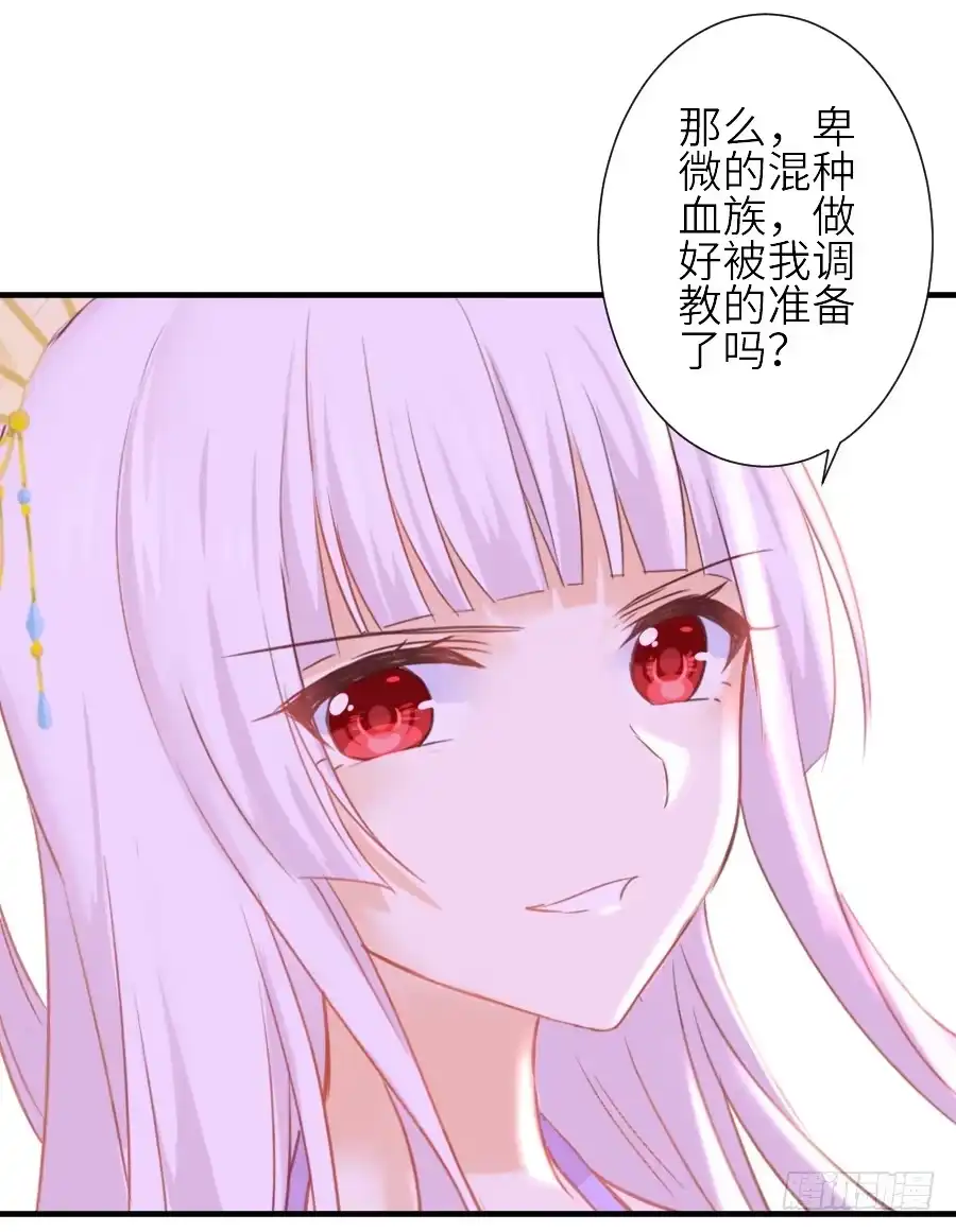 王的初拥 流血的伤口 第13页