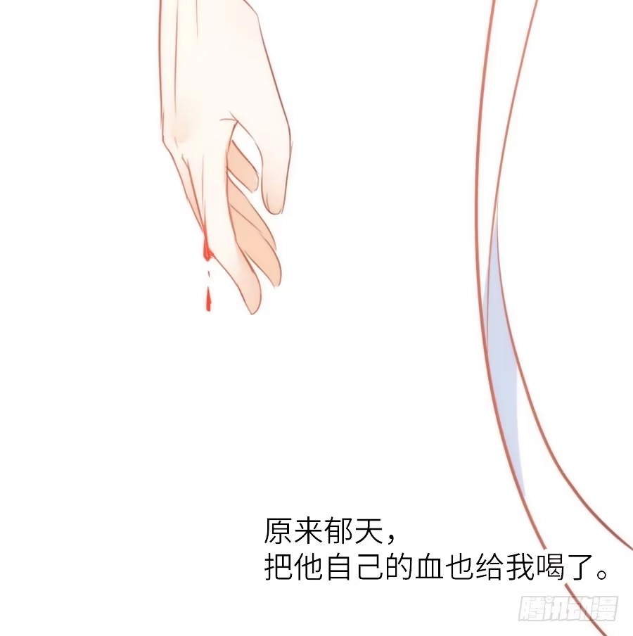 王的初拥 治愈系男主 第63页