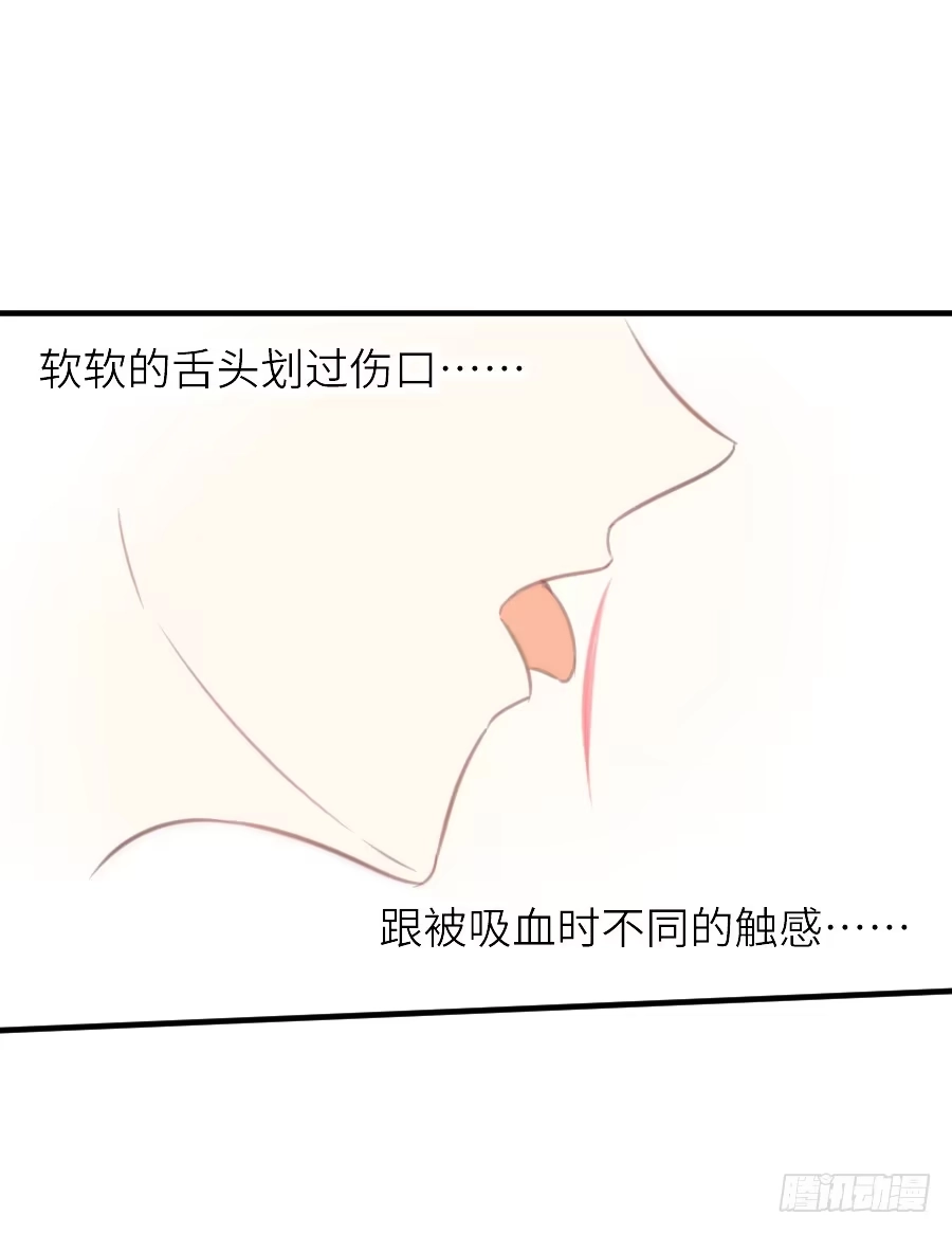 王的初拥 发狗粮啦~ 第13页