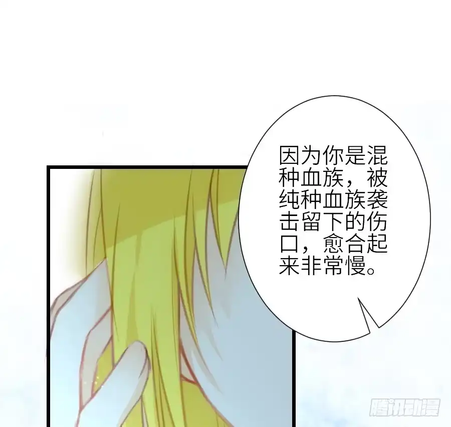 王的初拥 发狗粮啦~ 第19页