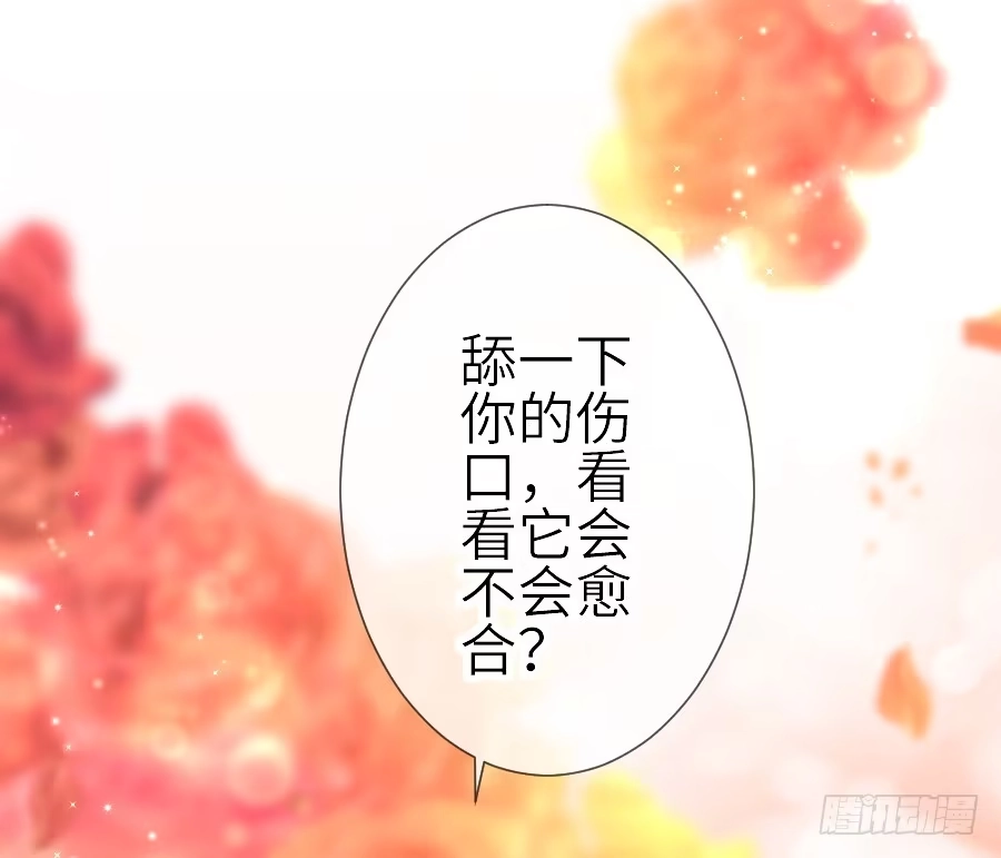 王的初拥 发狗粮啦~ 第8页