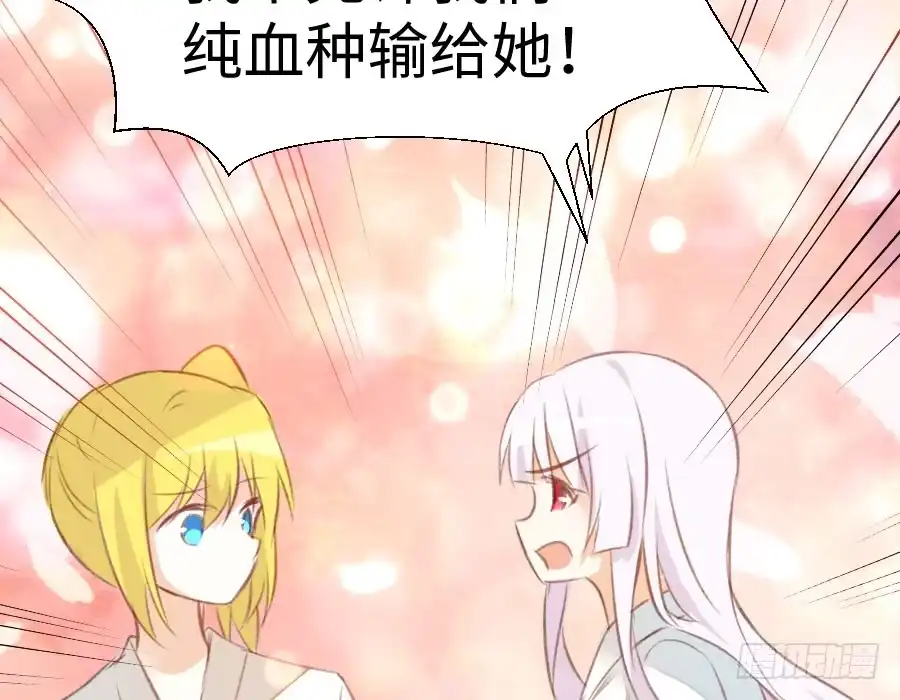 王的初拥 冲突 第13页