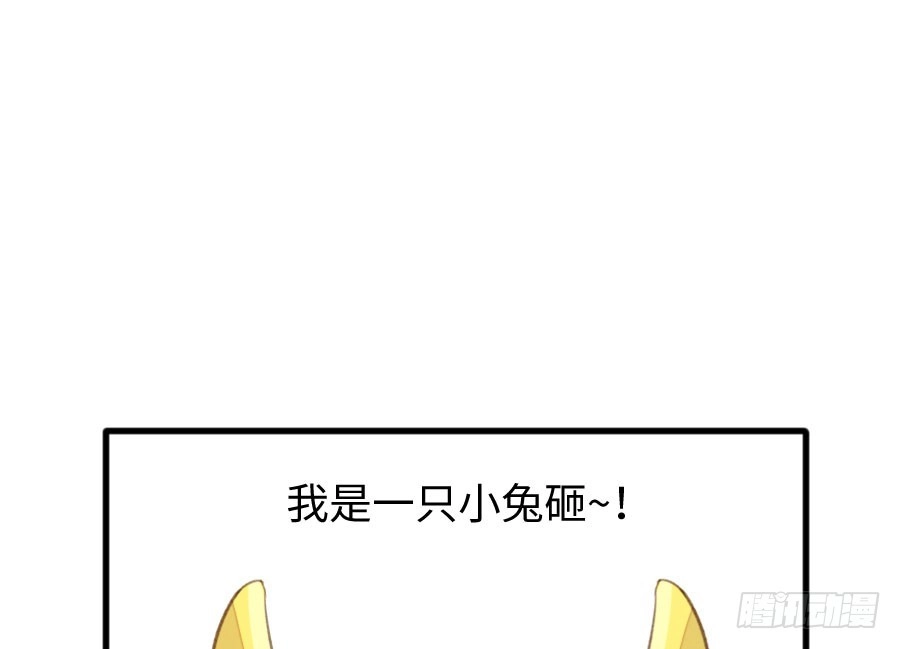 王的初拥 兔砸与狼的爱情故事 第46页