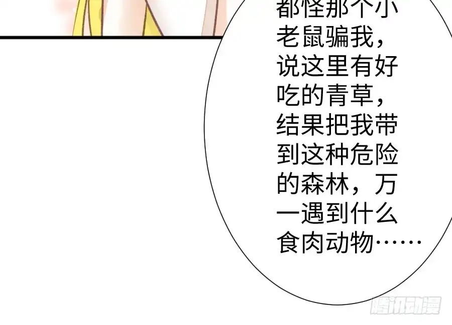 王的初拥 兔砸与狼的爱情故事 第53页