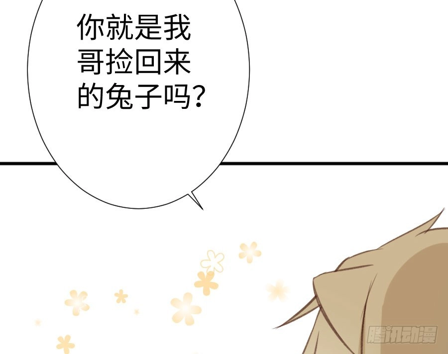 王的初拥 血族与人类 第88页