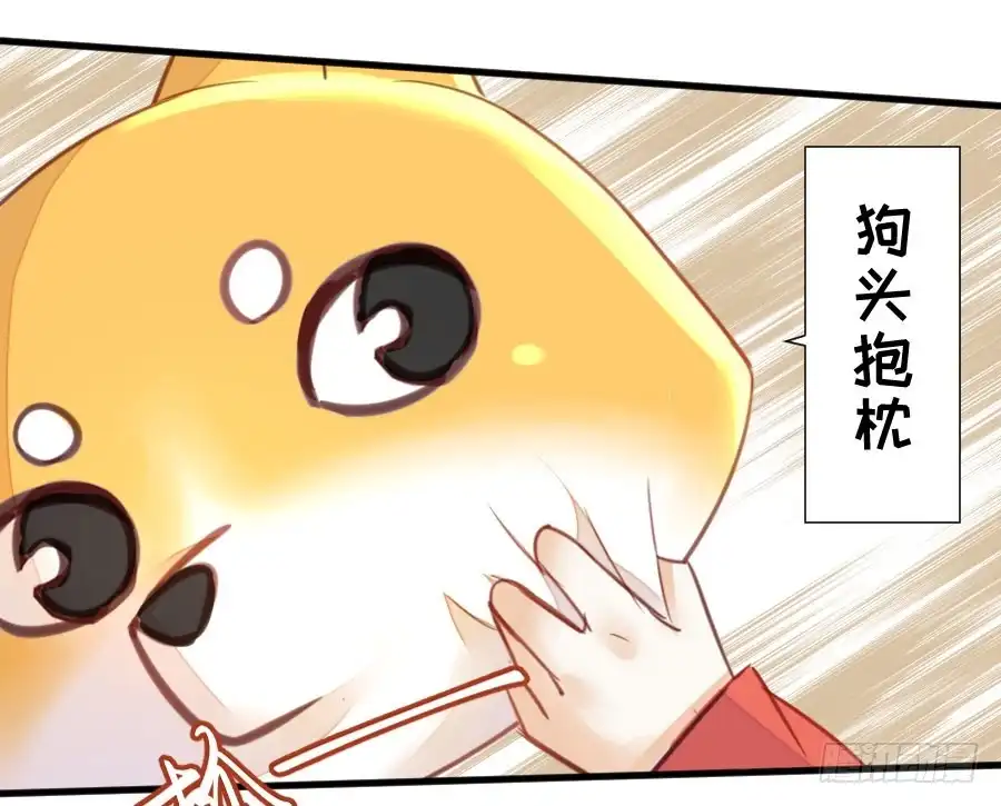 王的初拥 女装大佬 第13页