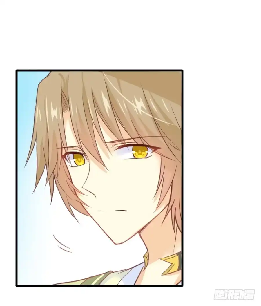 王的初拥 霸道王爷的俏丫鬟 第29页