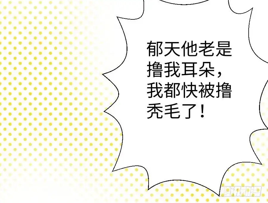 王的初拥 与你相似 第116页
