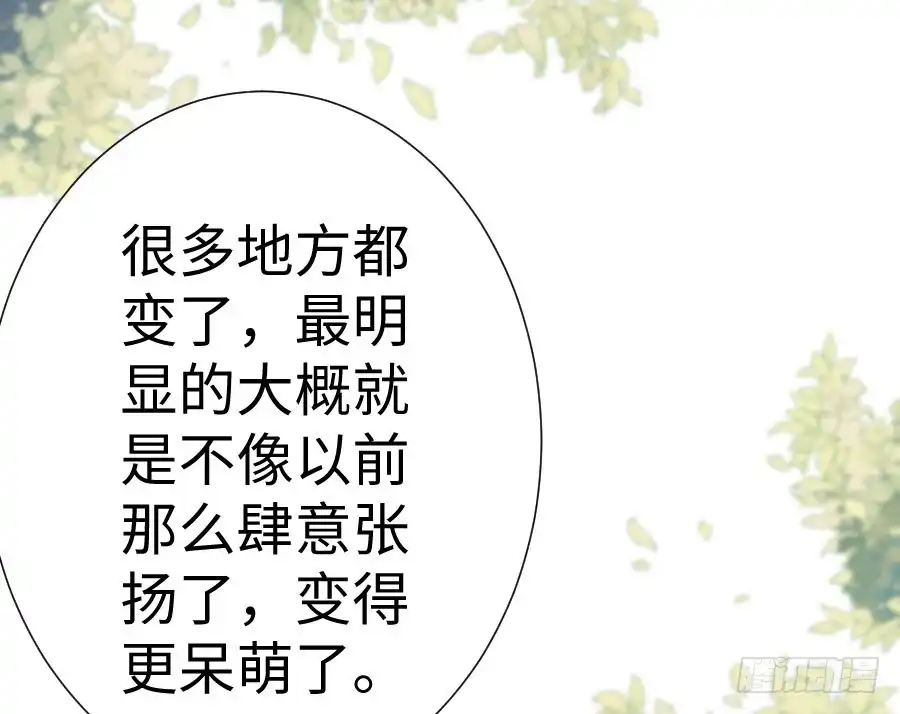 王的初拥 与你相似 第33页