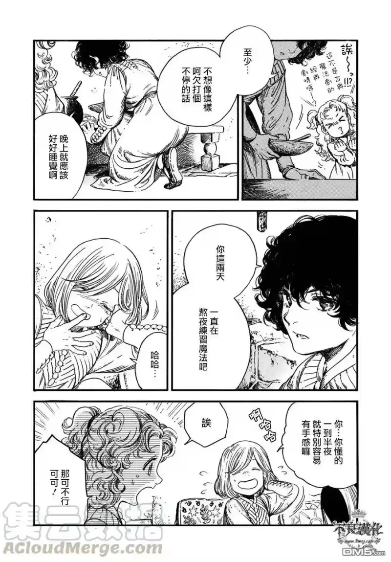 尖帽子的魔法工坊_h 15 第13页