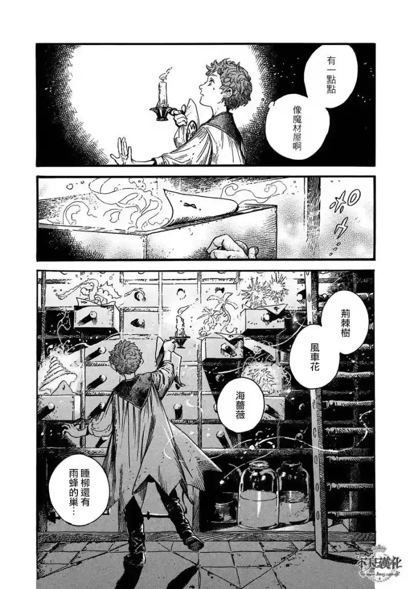 尖帽子的魔法工坊_h 17 第12页