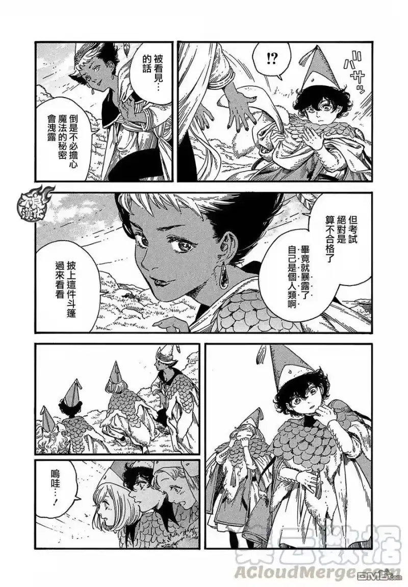 尖帽子的魔法工坊_h 19 第13页