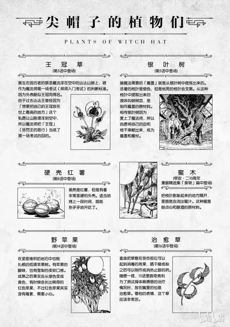 尖帽子的魔法工坊_h 番外 第6页