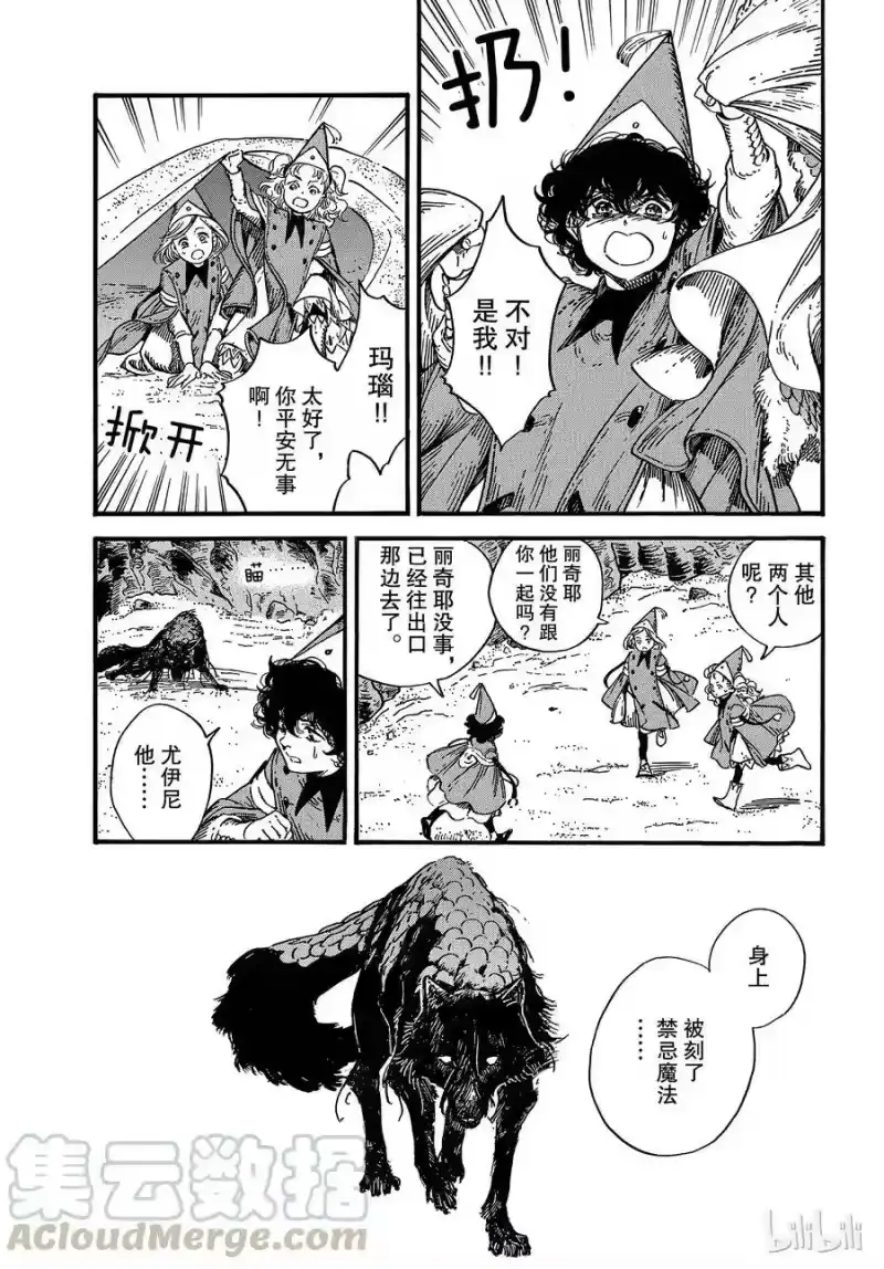 尖帽子的魔法工坊_h 27 第13页