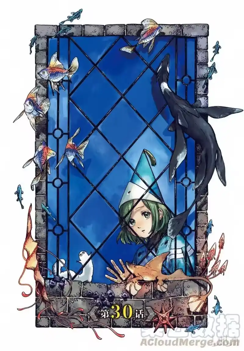 尖帽子的魔法工坊_h 30 第1页