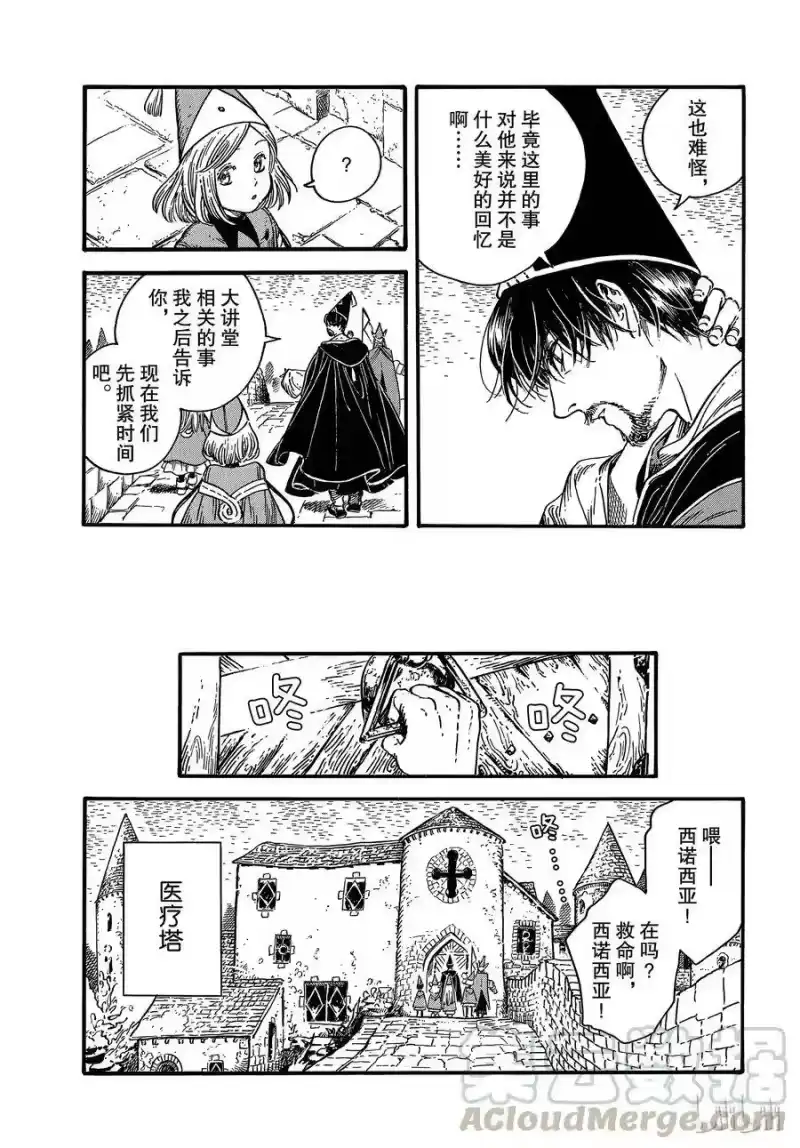 尖帽子的魔法工坊_h 30 第13页