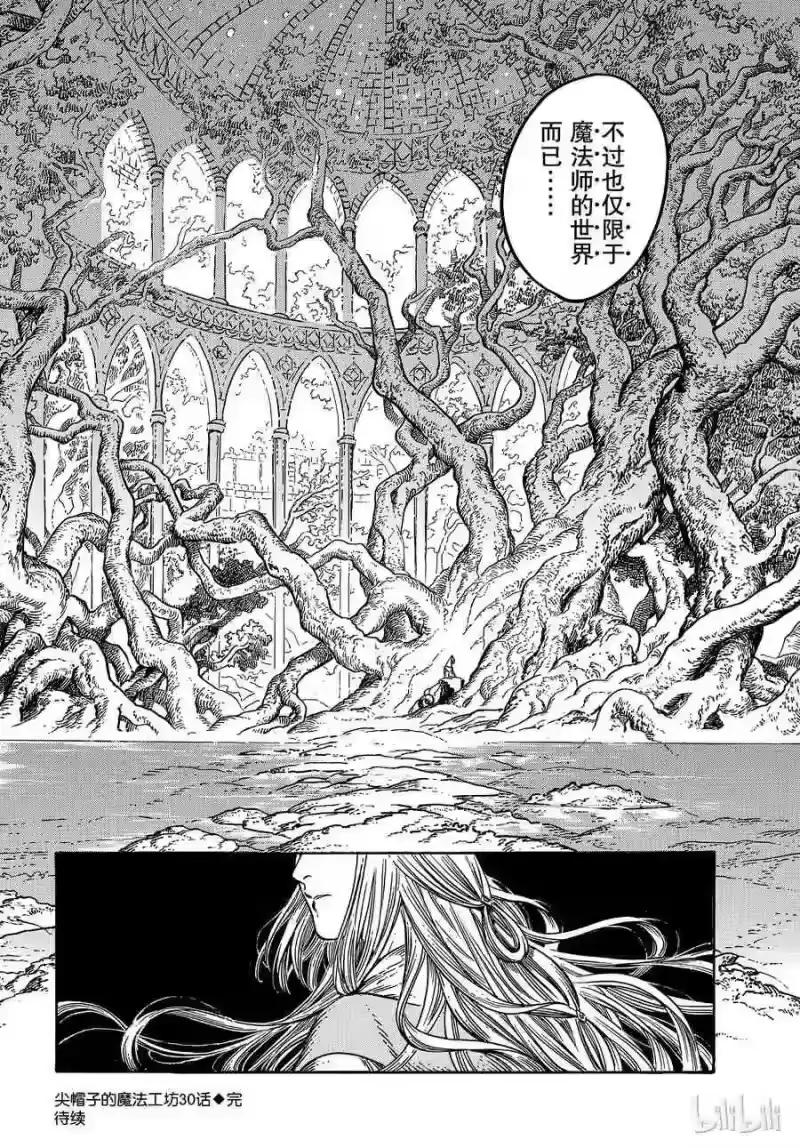 尖帽子的魔法工坊_h 30 第28页