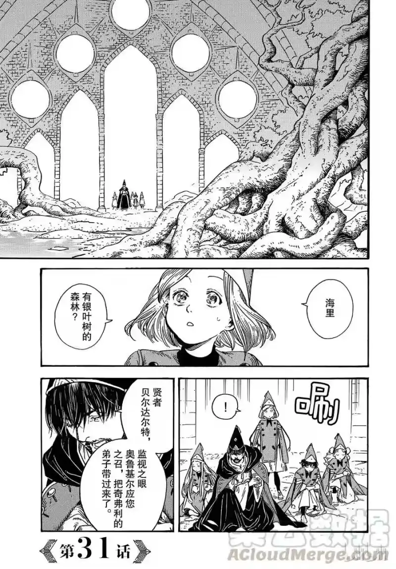 尖帽子的魔法工坊_h 31 第1页