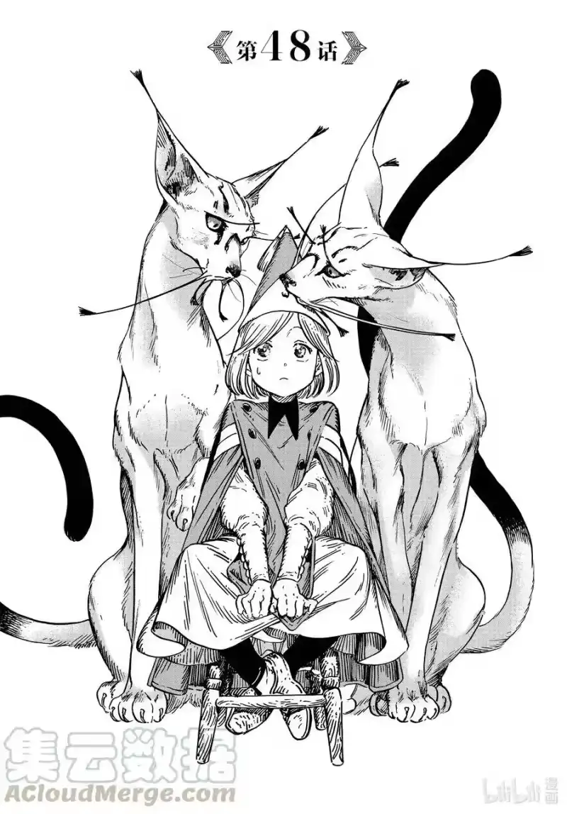 尖帽子的魔法工坊_h 48 第48话 第1页