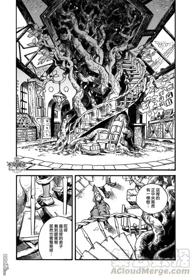 尖帽子的魔法工坊_h 5 第13页