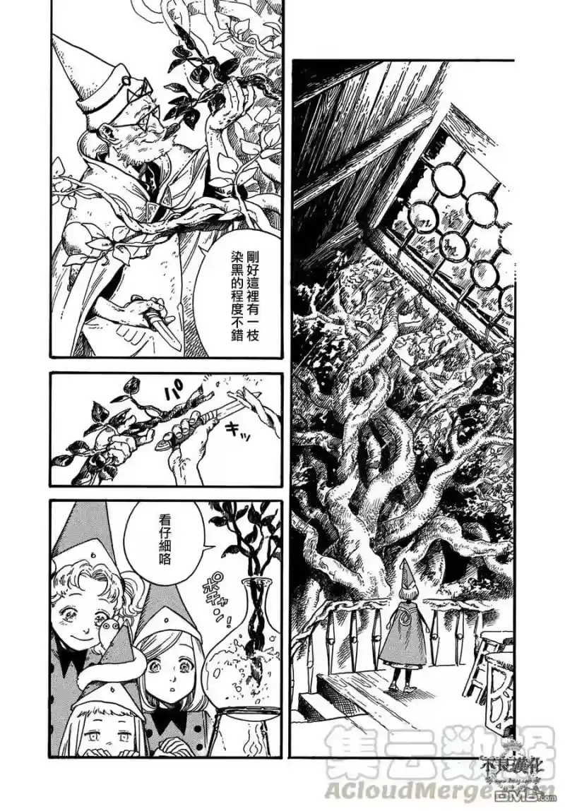 尖帽子的魔法工坊_h 5 第17页