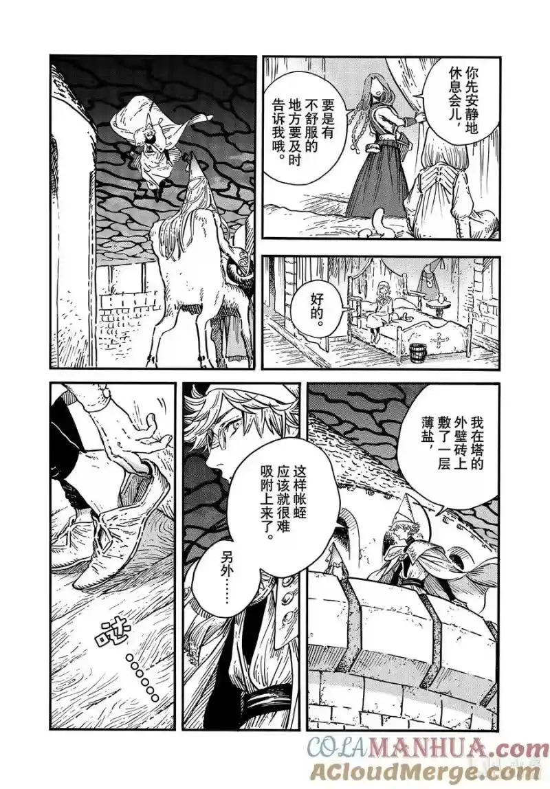 尖帽子的魔法工坊_h 69 第69话 第13页
