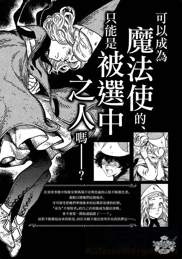 尖帽子的魔法工坊_h 7 第43页