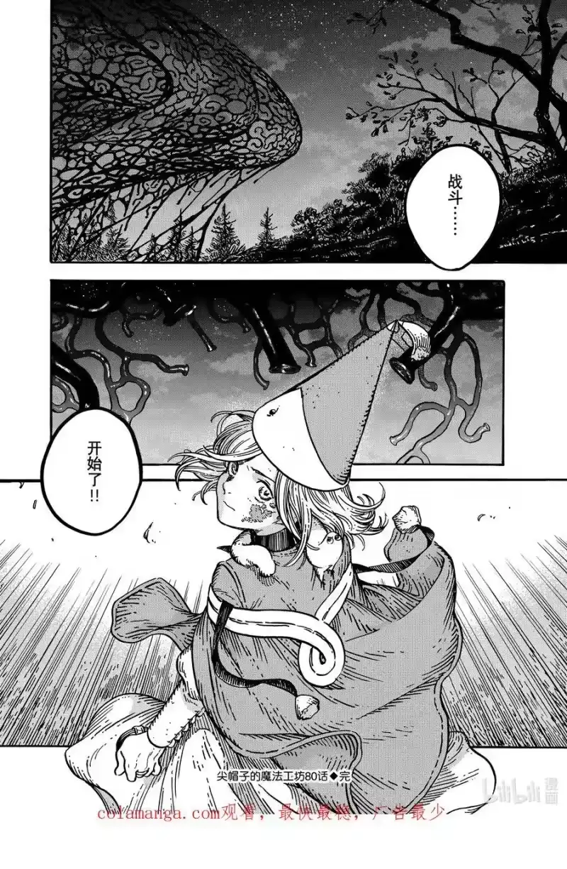 尖帽子的魔法工坊_h 80 第80话 第44页