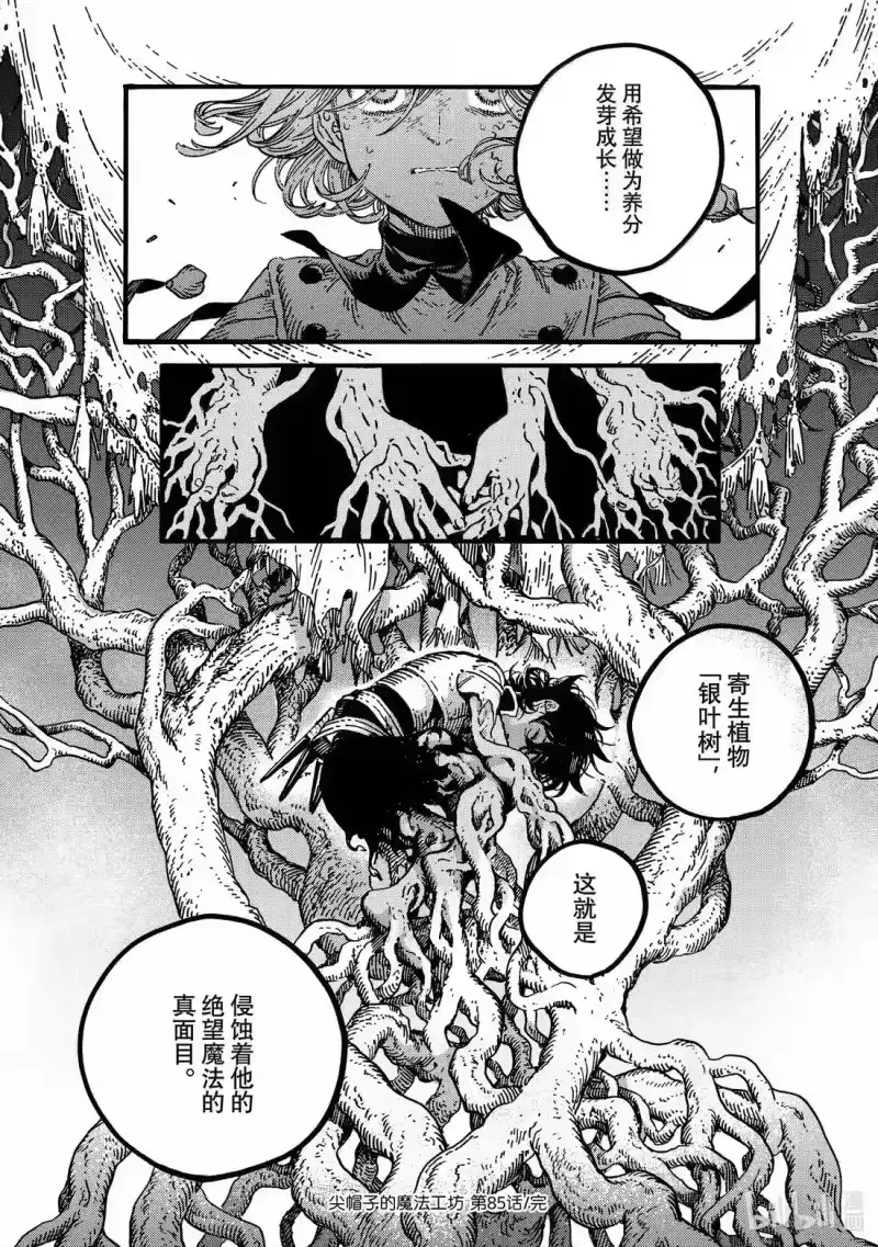 尖帽子的魔法工坊_h 85 第85话 第26页