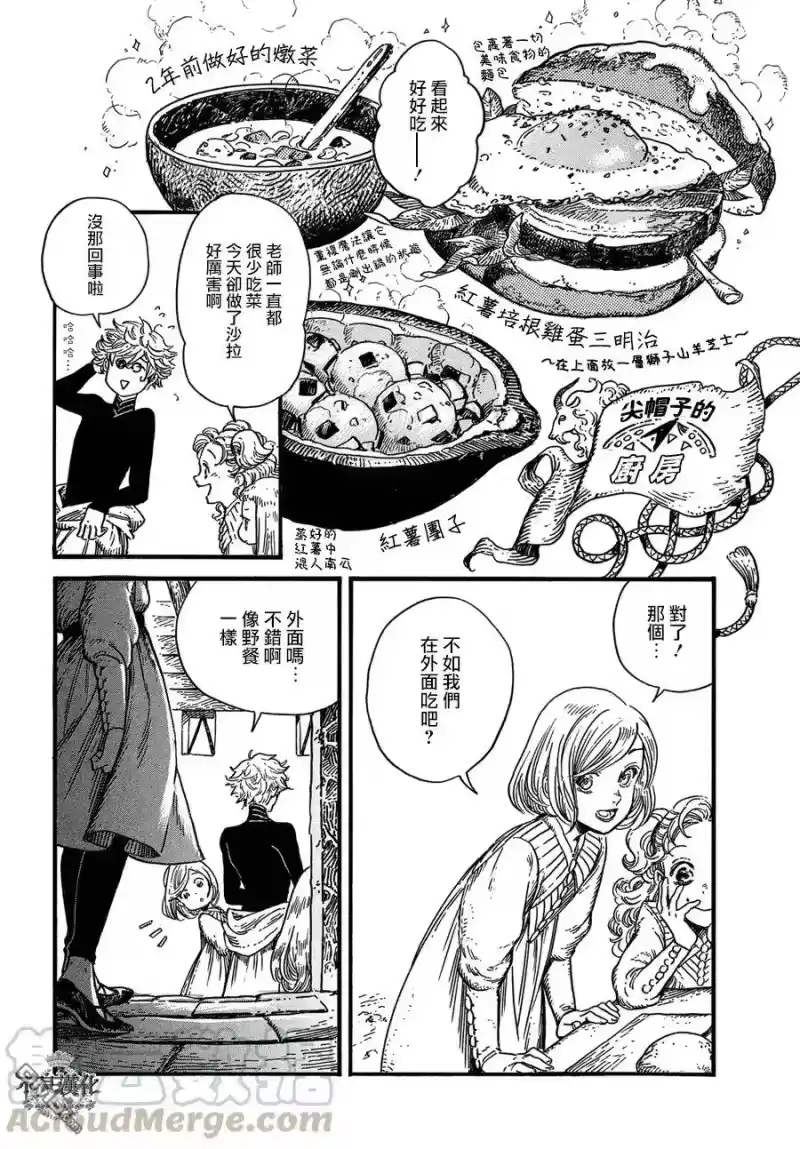 尖帽子的魔法工坊_h 8 第17页