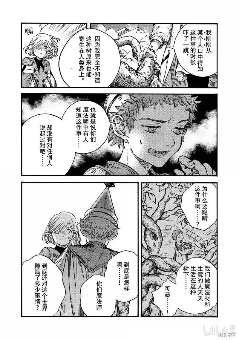 尖帽子的魔法工坊_h 第87话 第14页
