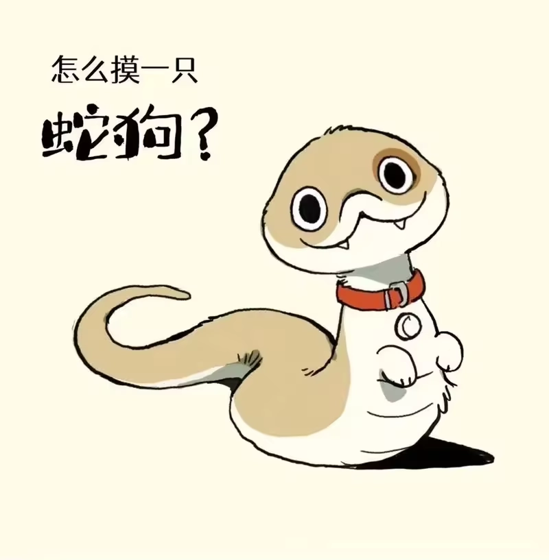 小狗蛇_h 摸不着 怎么摸一只蛇狗？ 第1页