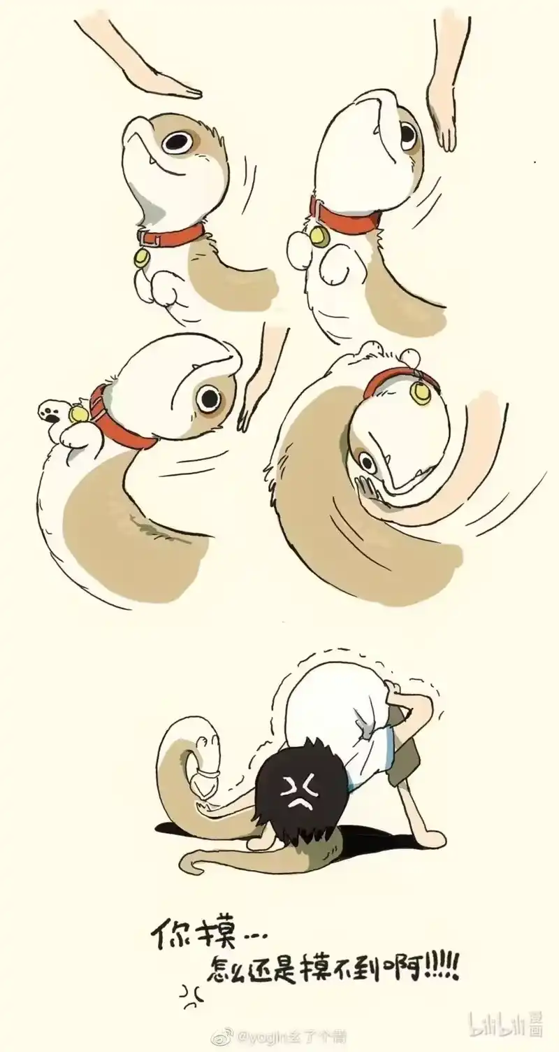 小狗蛇_h 摸不着 怎么摸一只蛇狗？ 第2页