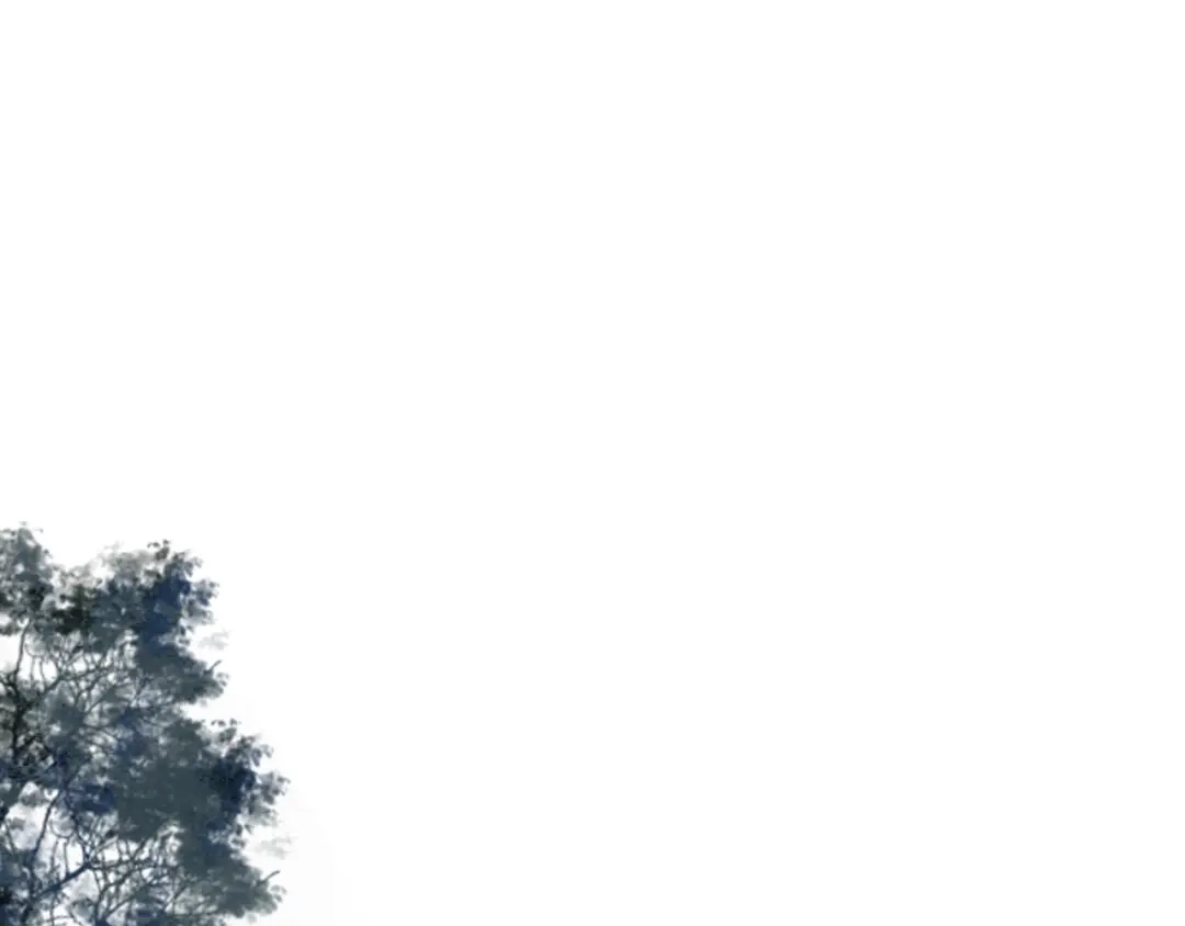 春江花月夜 第65话 狐狸乡 （一） 第1页