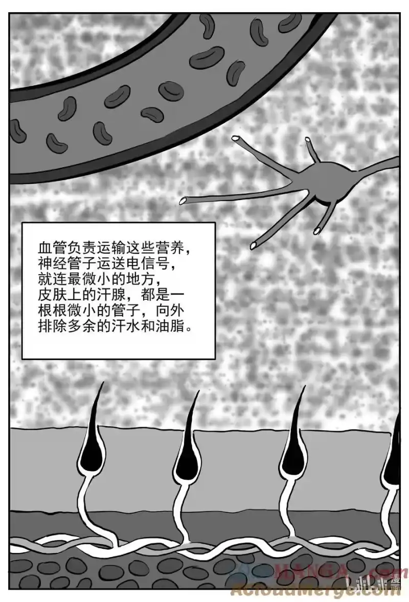 小智怪谈_h 1047 一分钟怪异故事 第8页