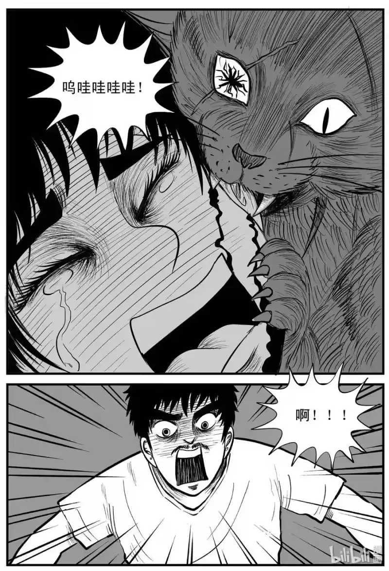 小智怪谈_h 163 猫 第13页