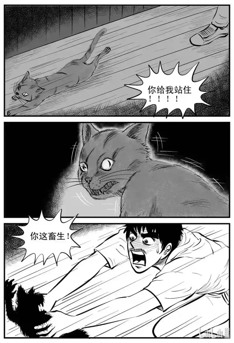 小智怪谈_h 163 猫 第14页