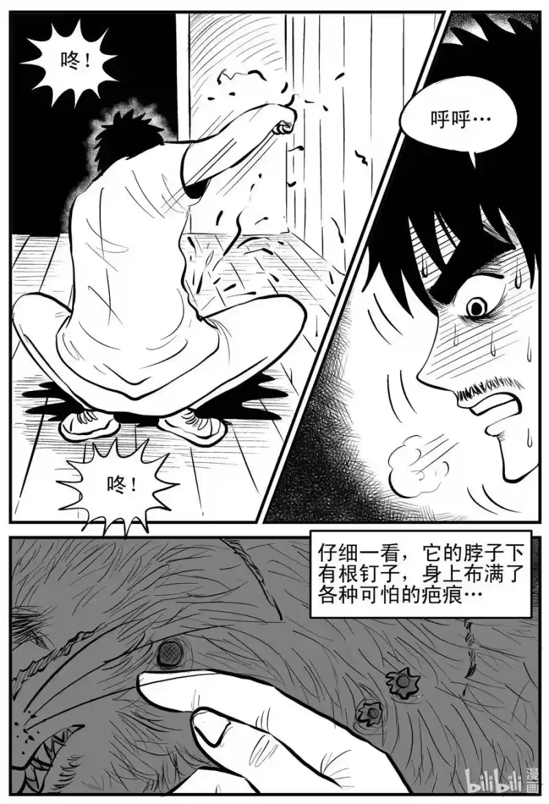 小智怪谈_h 163 猫 第15页